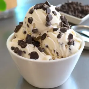 Helado de Vainilla con Chispas de Chocolate