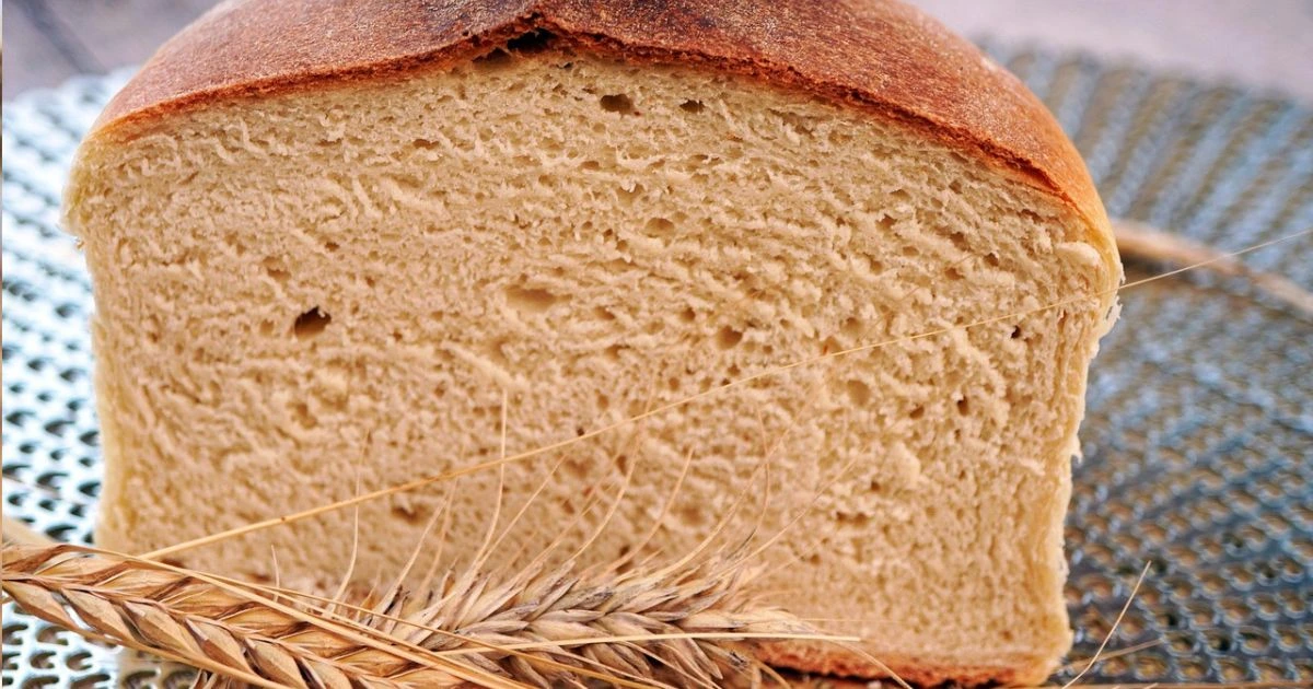Pan de Molde Integral